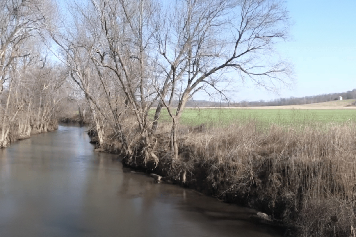 Stream in winter sharing habitat degradation that is a challenge to the hellbenders.