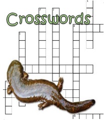 Hellbender Crosswords