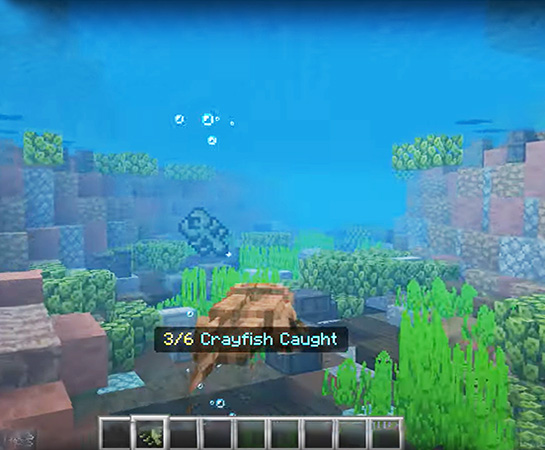 Screen shot of Minecraft Game.