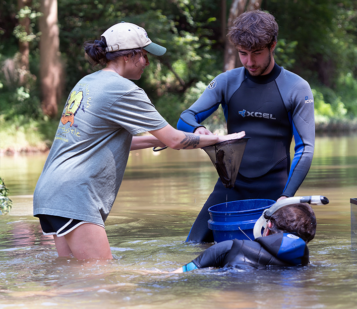 Hellbender release in the Blue River.