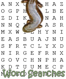 Hellbender Word Search.