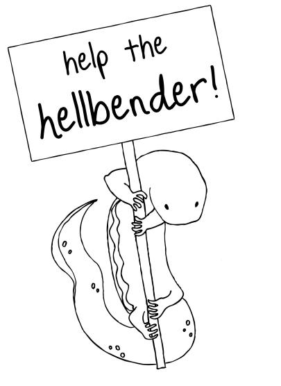 Coloring page of hellbender holding sign, help the hellbender.