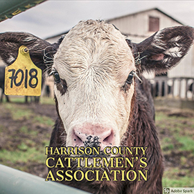 Harrison County Cattlemen's Association logo, face of cow.