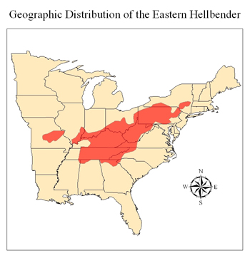 Geographic distribution of the Eastern Hellbender.