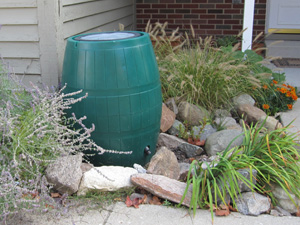 Rain barrel.