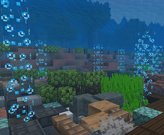 River view with bubbles in water, build your own river stretch with the Help the Hellbender Minecraft Conservation Quest.