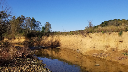 Stream bank erosion, photo by Nick Burgmeier.