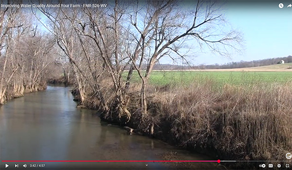 Stream on farmland, farmers helping hellbenders.