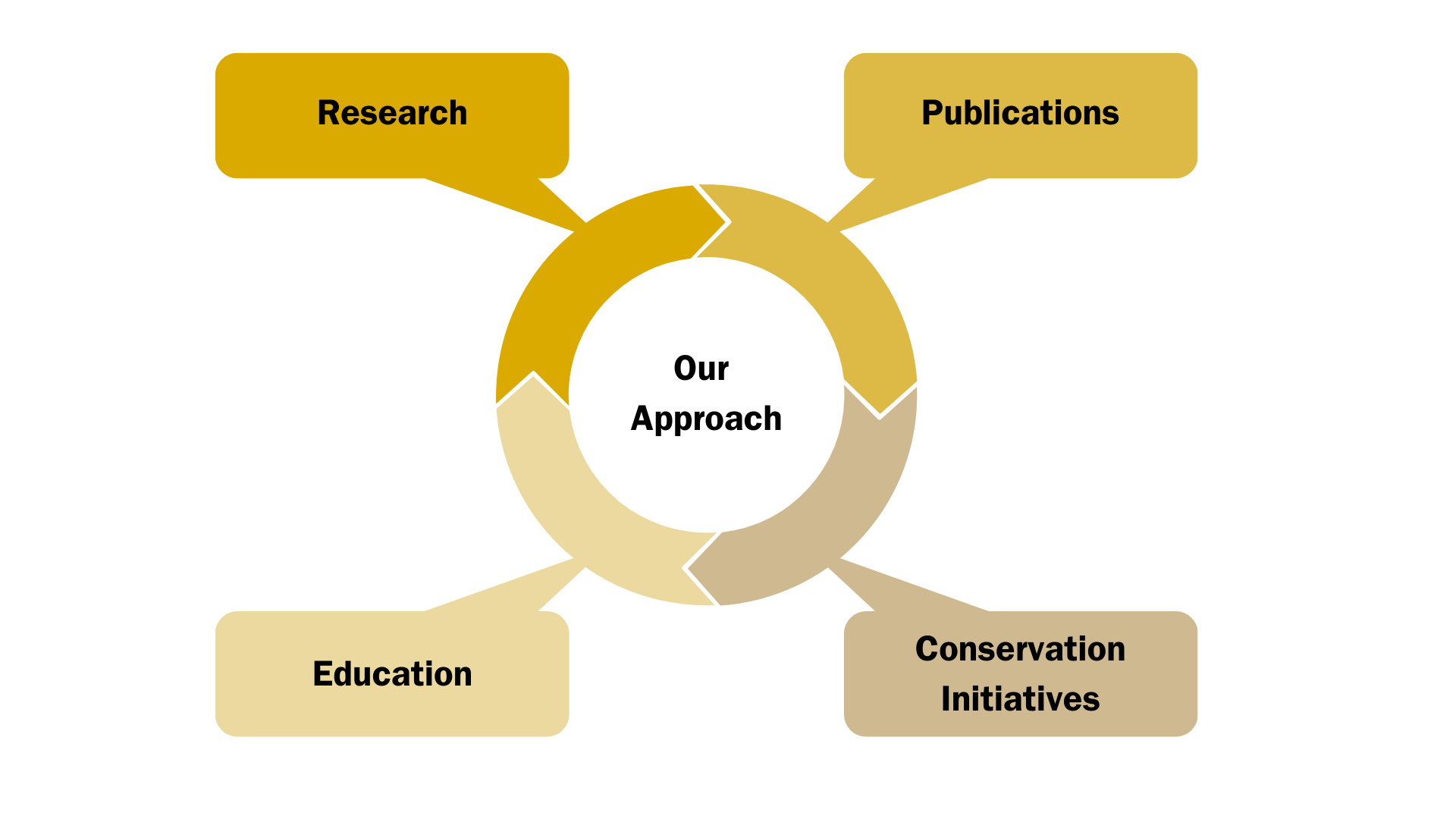 What We Do: Research, Publications, Conservation Initiatives, Education