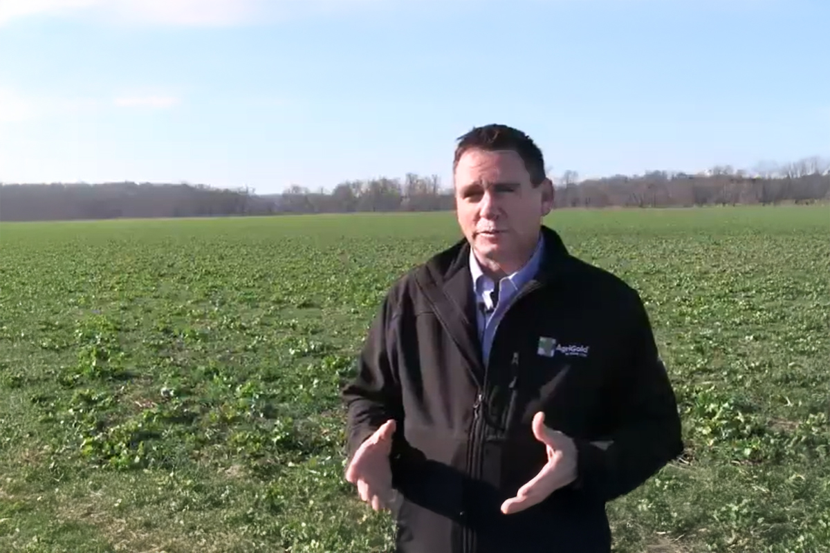Farmer talking about water runoff.
