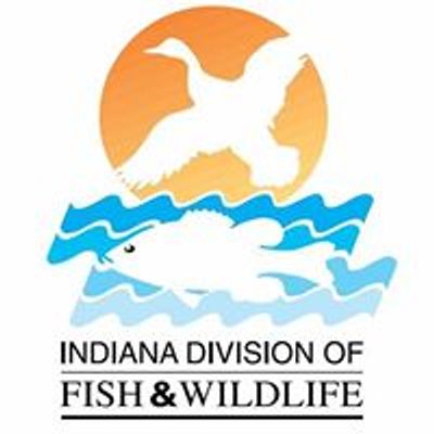Indiana Department of Natural Resources - Division of Fish and Wildlife logo.