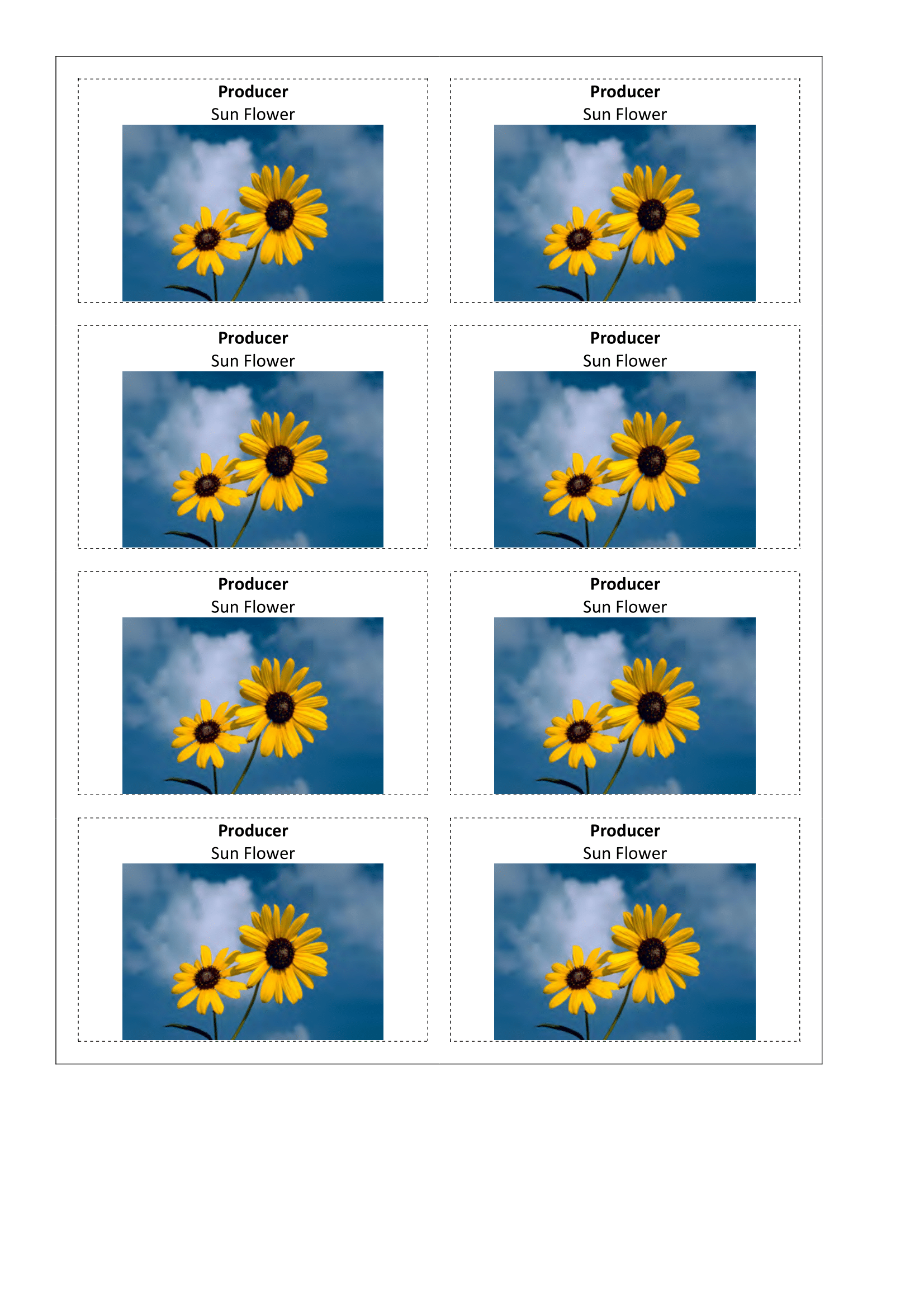 Images, Primary Consumer sun flower.