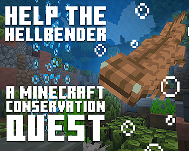 Hellbender Minecraft Game