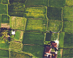 Aerial view of farmland, Food Waste Solutions, Nature of Teaching.