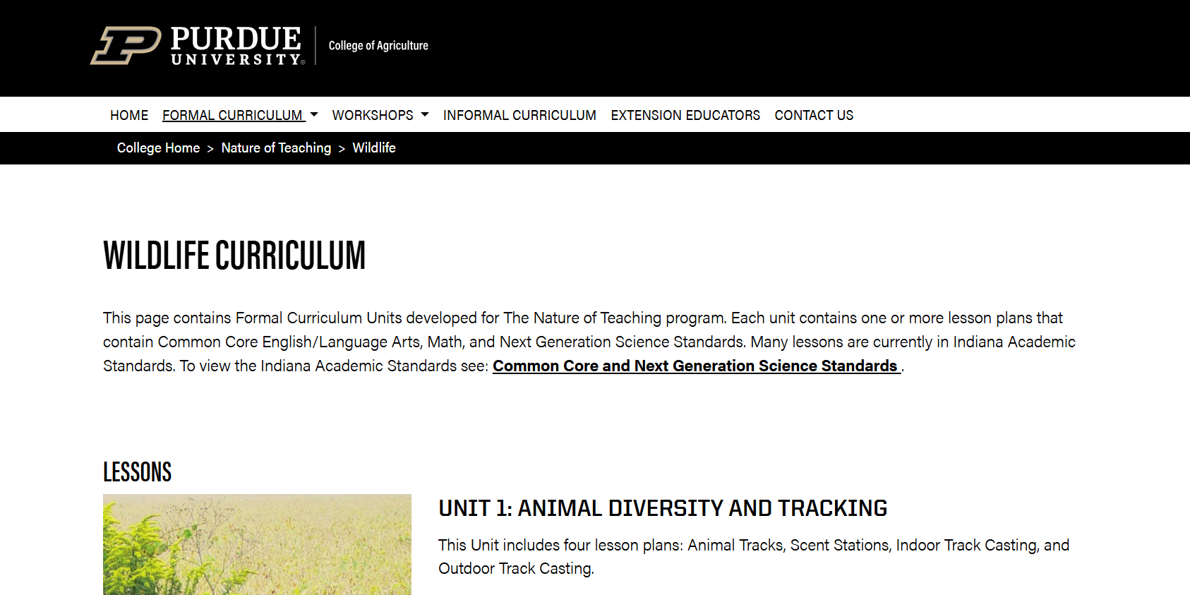Nature of Teaching: Wildlife Curriculum