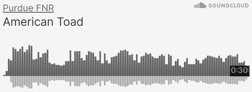 Purdue FNR SoundCloud of American Toad sounds