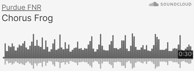 Purdue FNR SoundCloud of Western Chorus Frog sounds