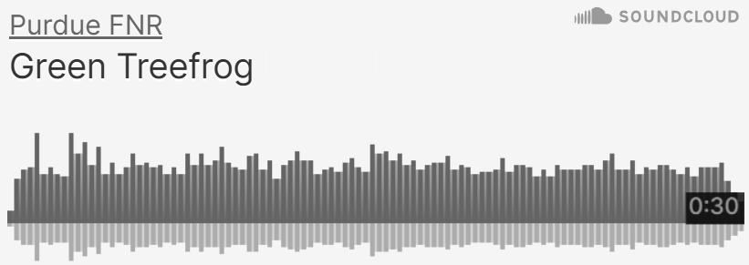 Purdue FNR SoundCloud of Green Treefrog sounds