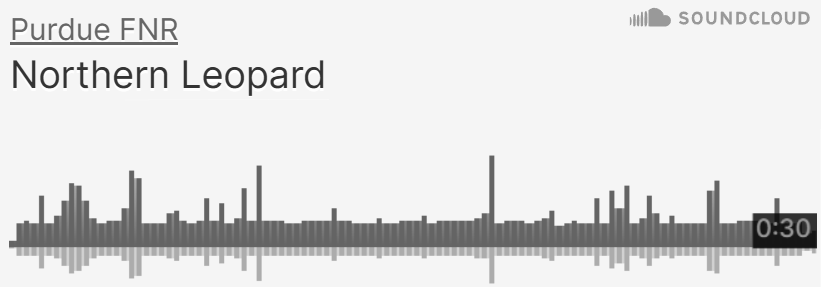 Purdue FNR SoundCloud of Northern Leopard Frog sounds