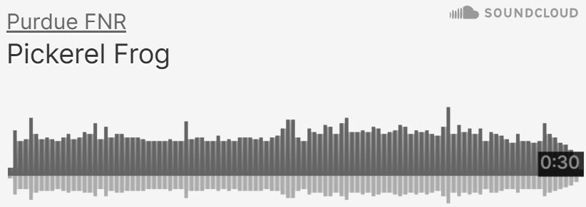 Purdue FNR SoundCloud of Pickerel Frog sounds