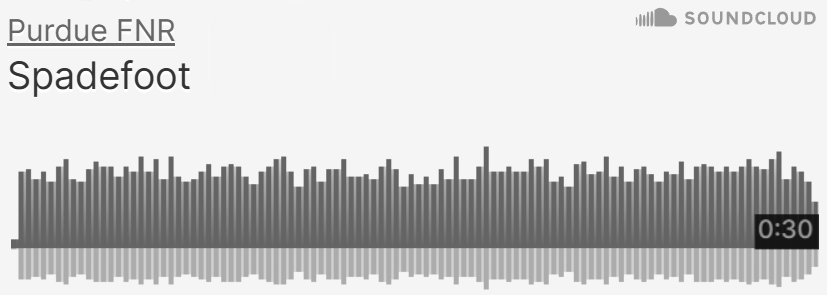 Purdue FNR SoundCloud of Eastern Spadefoot sounds