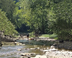 Person standing in a creek 