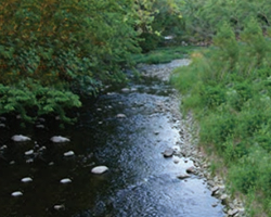 Creek, Discovering The watershed