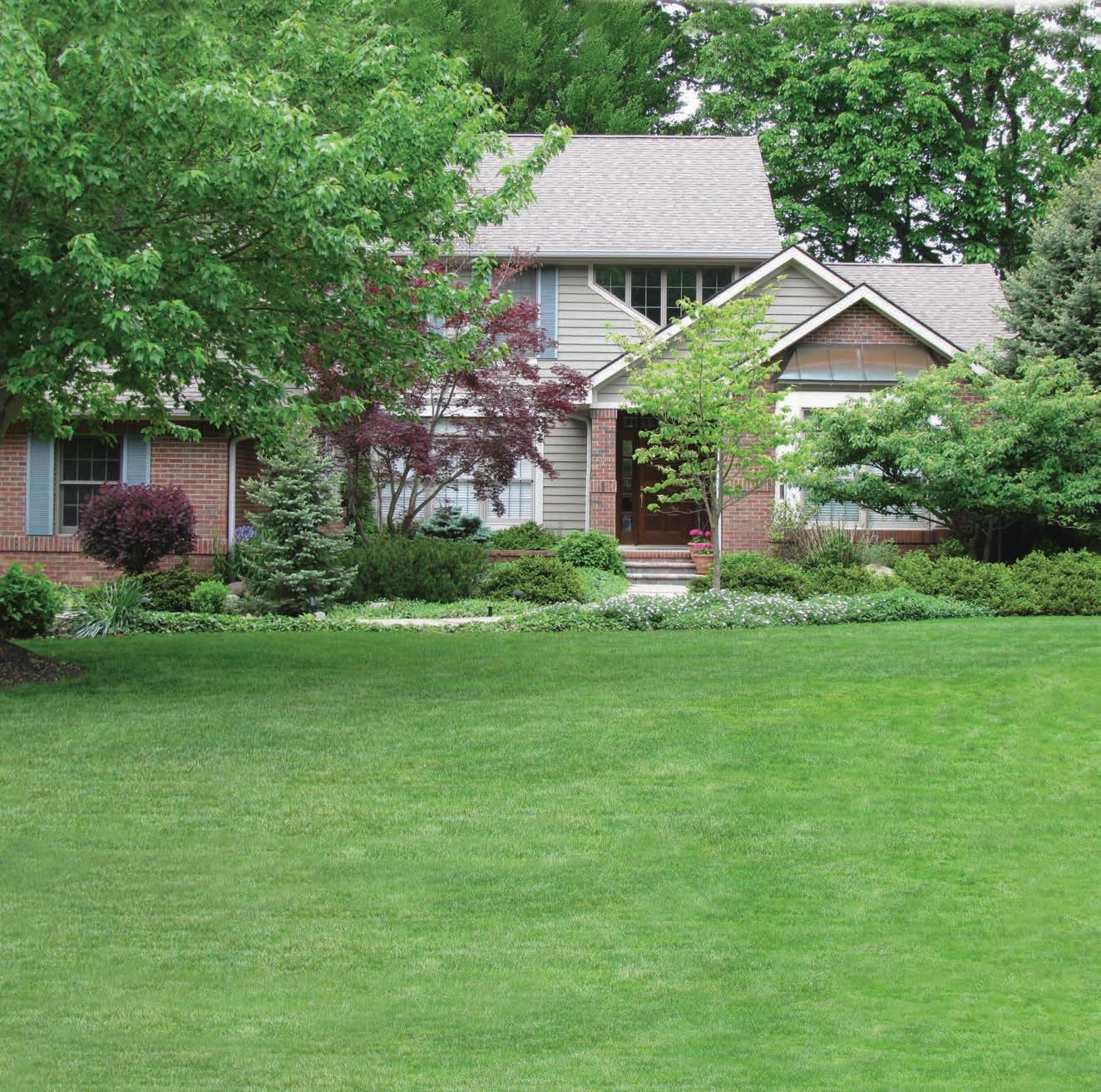 house with a front yard