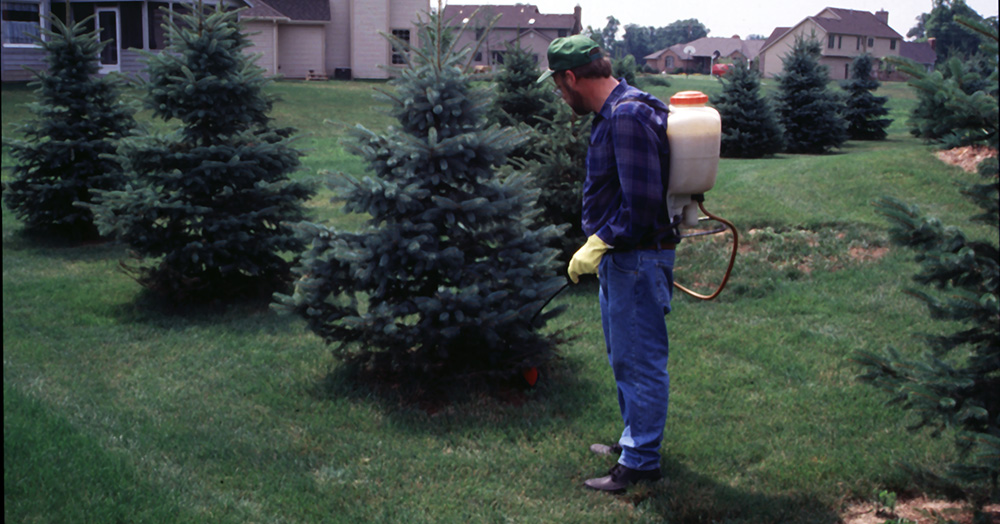 A man spraying weeds in a residential area