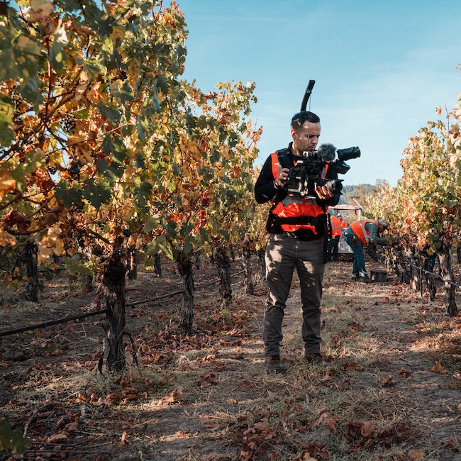 a young man with video camera outdoors in a grape plantation 
