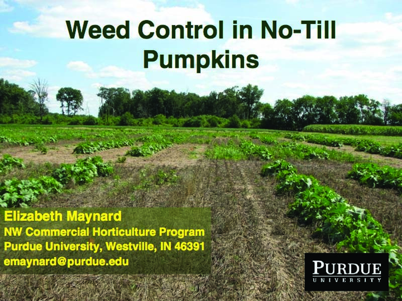 weed control in pumpkins publication cover 