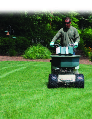 Person mowing lawn