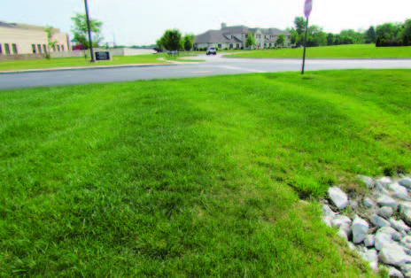 Notice the yellow-green and dark-green bands or stripes on this property. The bands were caused by overestimating the effective spread width or from an improper fertilizer pattern distribution adjustment.