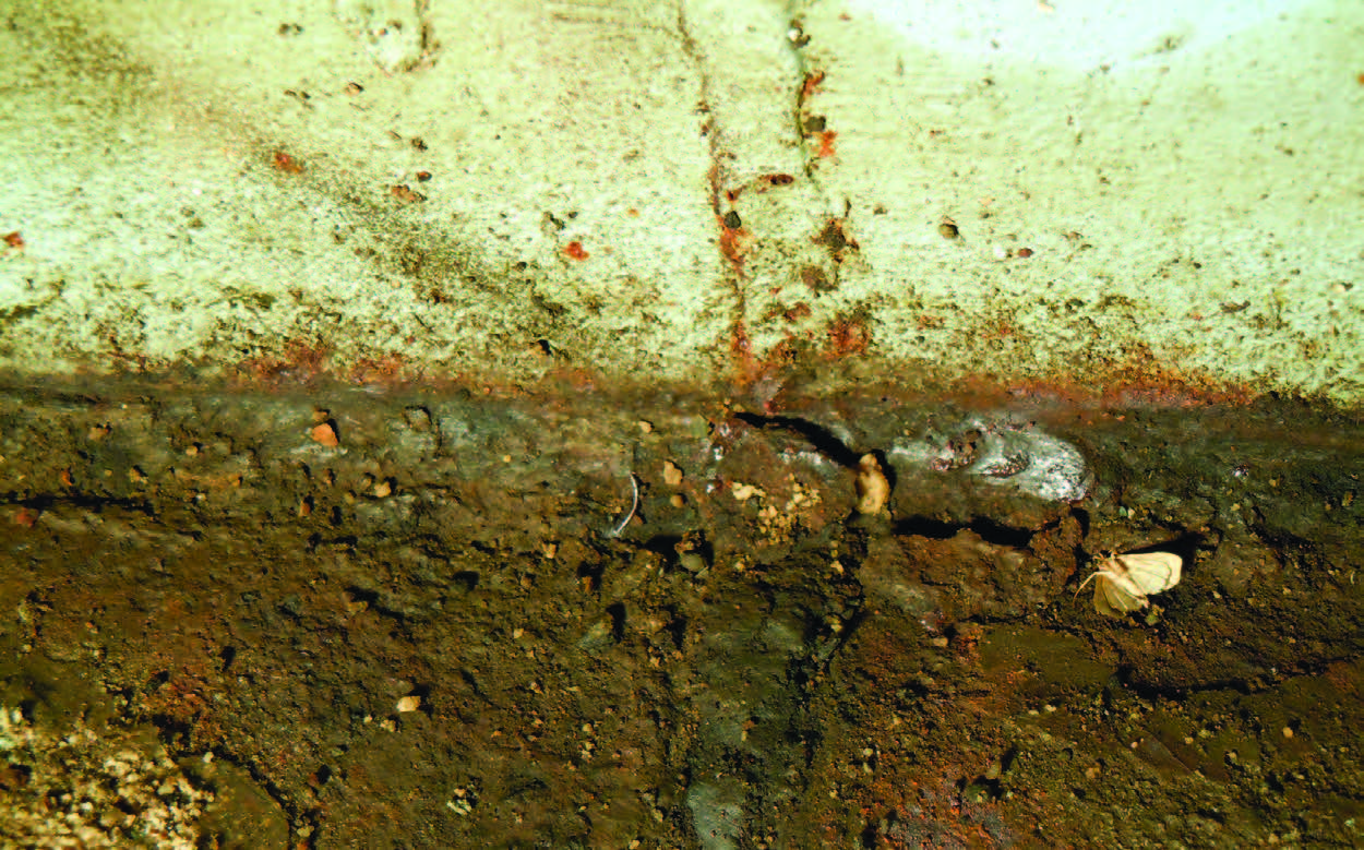 unpainted-section-of-the-tank-is-rusted.jpg