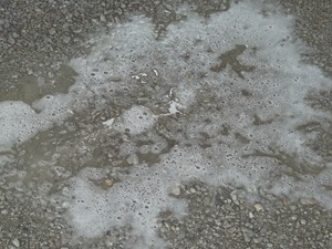 soap foam on the ground