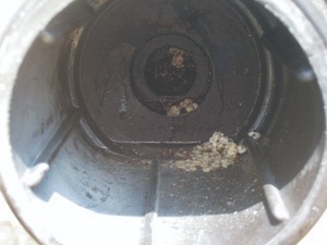 Materials accumulated in the filter between the tank and pump