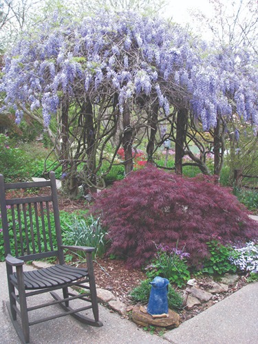 garden with purple flowers