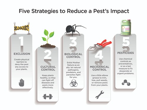 Graphic with 5 Strategies to Reduce a Pest' s impact
