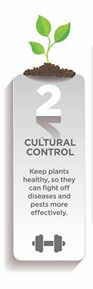 Cultural control, keep plants healthy icon