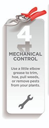 Step 4 Mechanical Control Mechanical pest control methods 