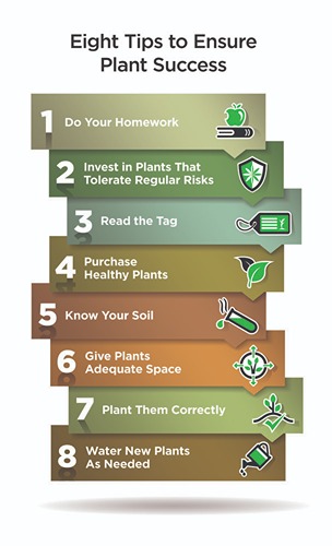 Graphic with 8 important things to remember when buying and planting plants