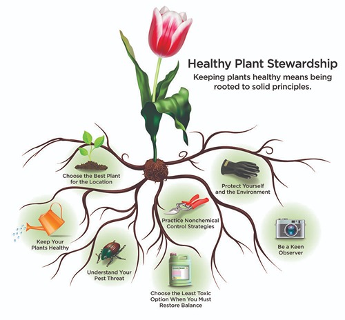 Healthy plan stewardship chart