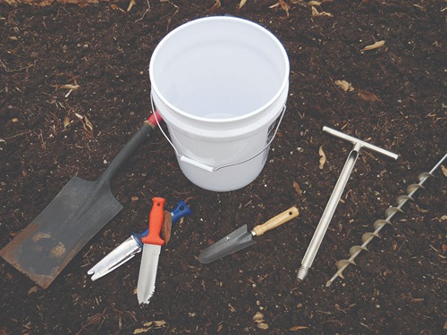 bucket and gardening tools