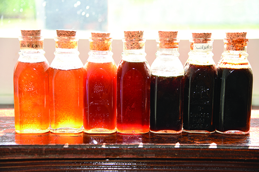 bottles of honey with different colors