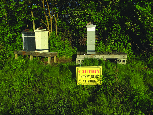 beehive on a field wit a caution message Honey bees at Work