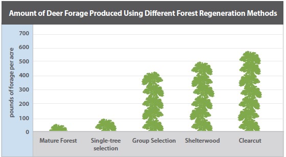 Amount of Deer Forage Produced Using Different Forest Regeneration Methods