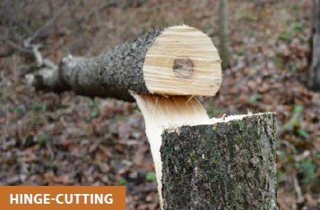 HINGE-CUTTING