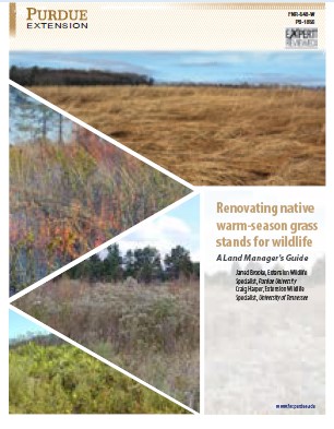 Renovating native warm- season grass stands for wildlife: a land manager’s guide