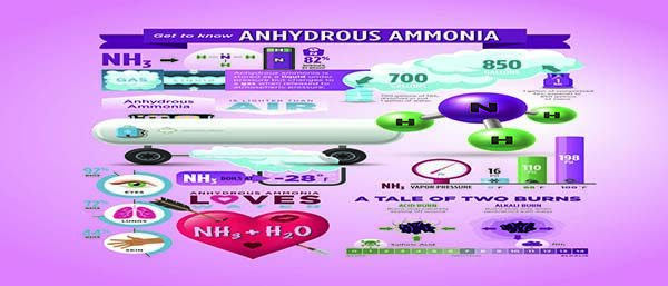 PU_Anhydrous_GetToKnow_PRINT-e1650040321110