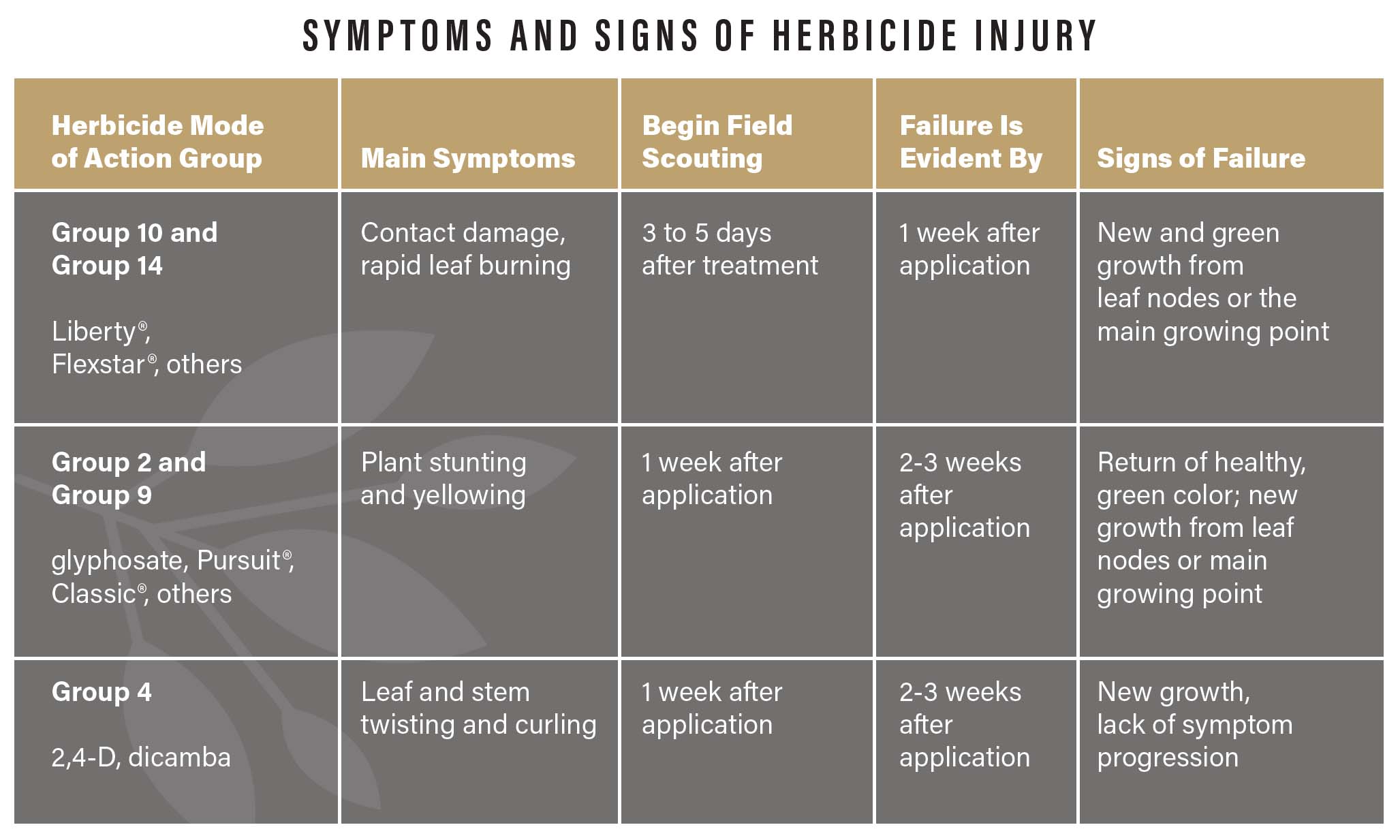 symptoms and signs chart
